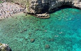 Terrazza Santo Stefano Polignano A Mare